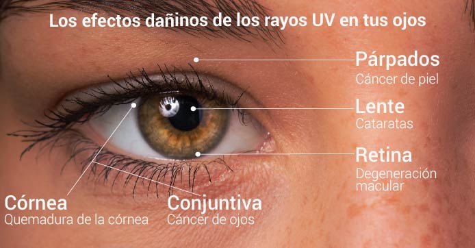 Los efectos dañinos de los rayos UV en los ojos