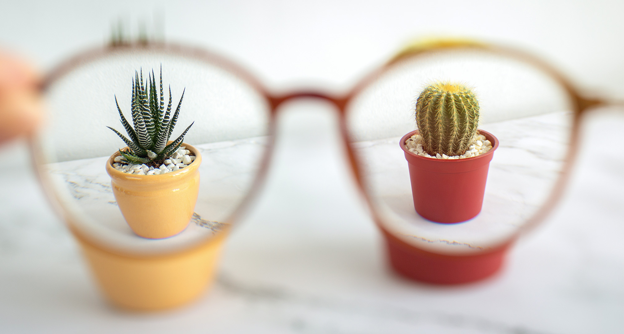 cómo ven las personas con presbicia con y sin gafas