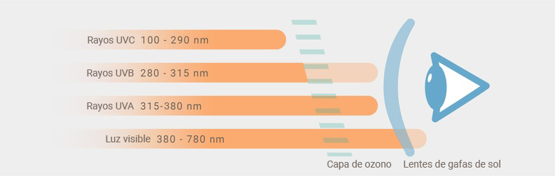 Radiaciones UVA, UVB y UVC en el ojo