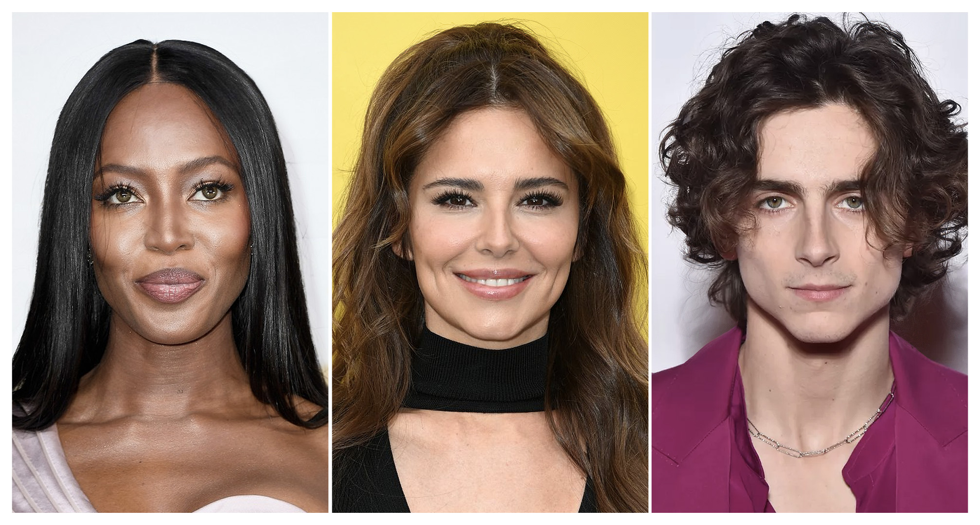 collage de naomi Campbell, cheryl Cole, timothée chalamet