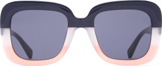 Hawkers Tricolor Butterfly 4053