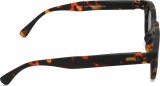 Izipizi Sun Junior #C Tortoise (de 7 - 11 años) 47223