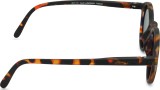 Izipizi Sun Junior #D Tortoise (de 7 - 11 años) 47237