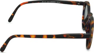 Izipizi Sun Junior #D Tortoise (de 7 - 11 años)