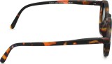Izipizi Sun Kids #D Tortoise (de 3 a 5 años) 47175