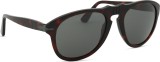 Persol PO0649NE 24/B1 54