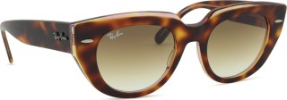 Ray-Ban Doreen RB2286 141451 49