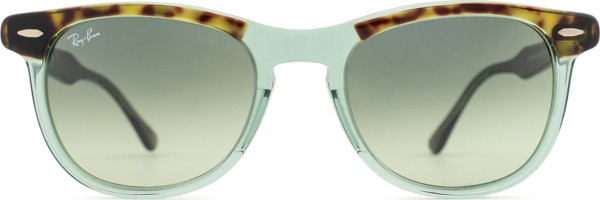 Ray-Ban Eagleeye RB2398 1376BH 53