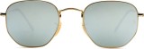 Ray-Ban Hexagonal RB3548N 001/30 9160