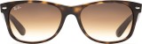 Ray-Ban New Wayfarer RB2132 710/51 6237