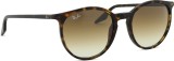 Ray-Ban RB2204 902/51